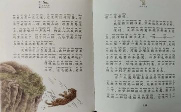 斑羚飞渡作文5篇