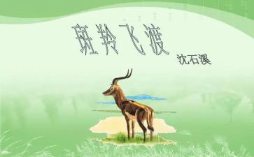 斑羚飞渡的阅读后感8篇