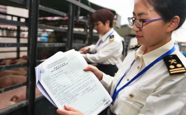 报关行年终总结5篇