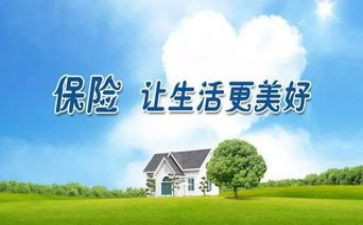 保险师工作计划5篇