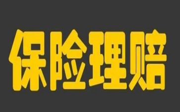 保险公司年终总结优质5篇