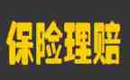 保险公司年终总结优质5篇