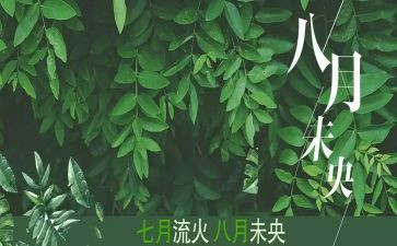 八月份的工作总结最新8篇