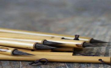 我的笔作文800字通用5篇