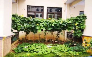 超市蔬菜员工的工作总结5篇