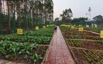 采购蔬菜合同5篇