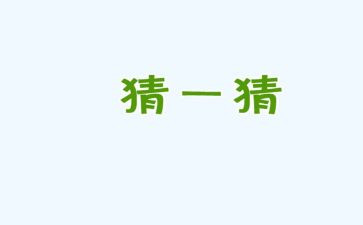 猜灯迷的作文8篇
