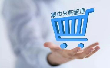 采购2023工作计划精选8篇