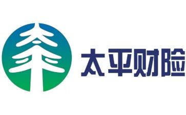 财险2024年工作总结5篇