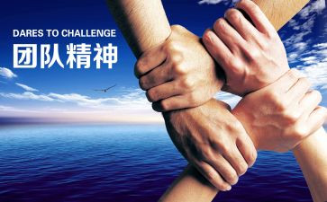 活动策划案的总结模板6篇