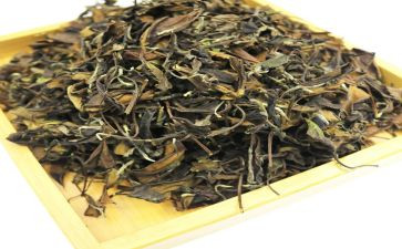 细品茶趣作文5篇