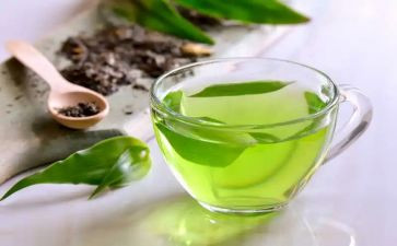 细品茶趣作文最新5篇