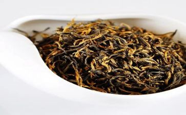 我与茶作文模板6篇