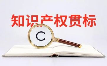 知识产权公司工作总结5篇