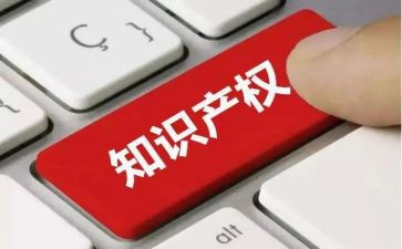 知识产权的工作总结5篇