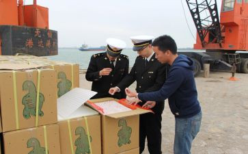 接种证查验工作总结8篇