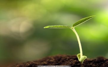 成长类的作文范文模板8篇