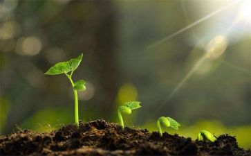 成长类的作文范文推荐7篇