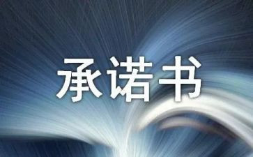 电脑售后服务承诺书8篇