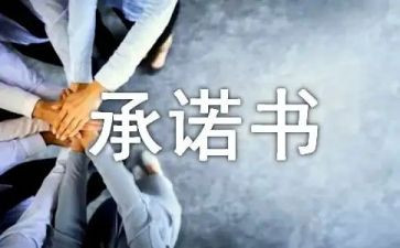 投标服务承诺书模板8篇
