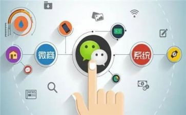 程序员转正总结个人总结7篇