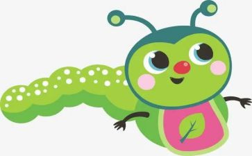 昆虫记金步甲读后感7篇