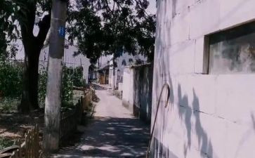 卖橘子闯了祸读后感6篇