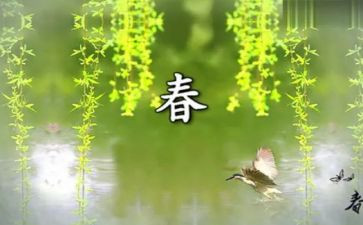 青春的作文800字7篇