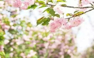 青春期心理健康教育心得体会8篇