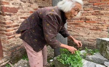 母亲慈祥的爱作文5篇