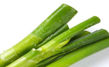大班科学葱和蒜教案最新7篇