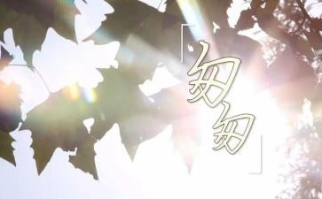 匆匆的读后感模板5篇