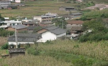 到村工作大学生心得体会通用8篇