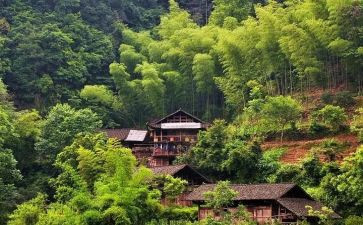 大学生村官村官工作总结6篇
