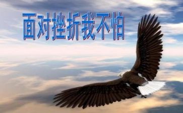 成长与挫折的作文800字5篇