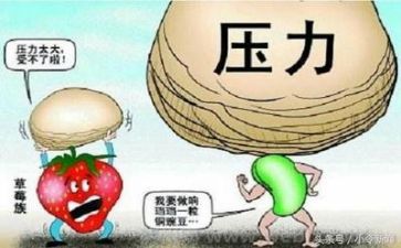 成长与挫折的作文7篇