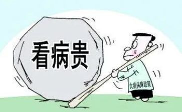 申请临时大病救助申请书7篇