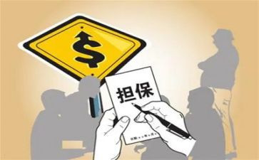 担保的工作总结最新6篇