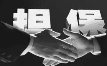 担保借款合同6篇
