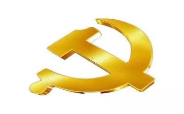 党支年度i工作总结精选5篇