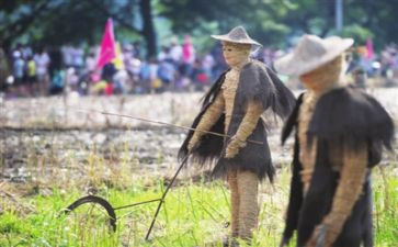 《稻草人》心得体会模板6篇