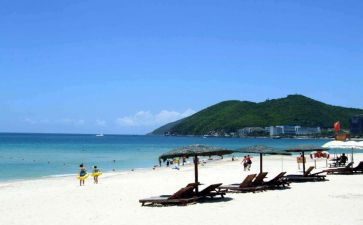 考导游证心得体会500字8篇