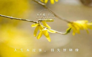 期末考试的得与失作文8篇