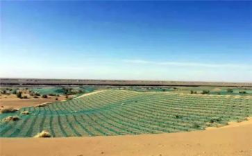 房地产端午节活动方案优秀7篇