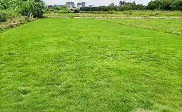 入工地的心得体会推荐7篇