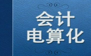电算化个人总结6篇
