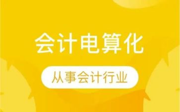 电算化实训心得体会7篇