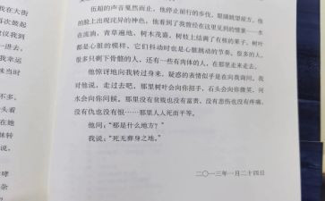 军训第七天心得优秀8篇
