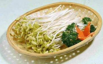 豆芽生长记作文5篇