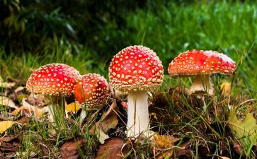 禁毒日的心得体会5篇